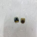اسپیکر تماس گوشی سونی اریکسون مدل k310